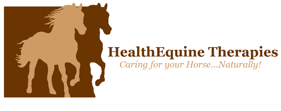 HealthEquine Therapies Website